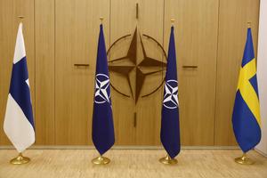 Finlandia e Svezia chiedono di entrare nella Nato - Foto Ansa  © www.giornaledibrescia.it